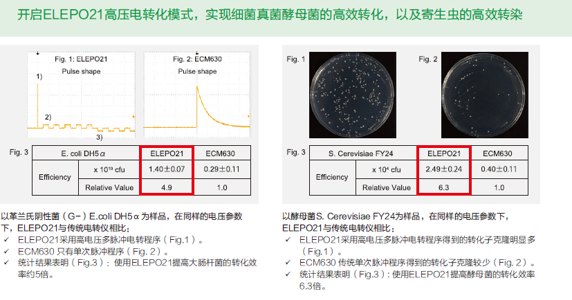 ELEPO21 体外高效电转化仪